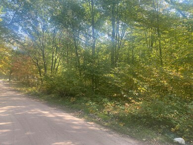 7813/7831 Wilderness Dr, Weidman, MI 48893 - photo 4