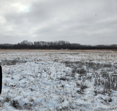 TBD 149th Ave, Sebeka, MN 56477 - photo 3