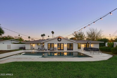 backyard1