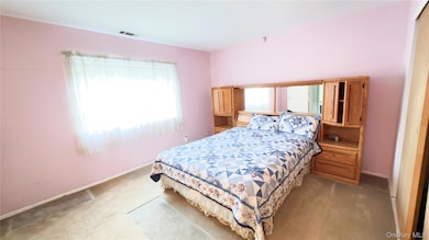 98 Whistler Ct unit 98, Middle Island, NY 11953 - photo 6