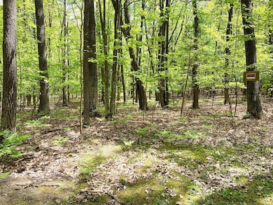 Lots 1-8 Adams Roosevelt, Roscommon, MI 48653 - photo 3