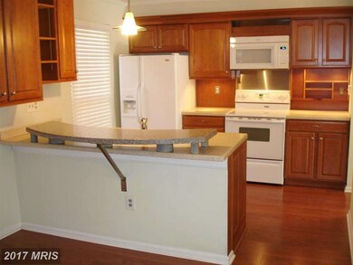 1 Battersea Bridge Ct, Lutherville Timonium, MD 21093 - photo 5