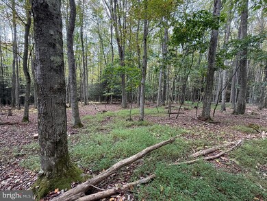 0 Lake Shore Dr unit MDGA2010464, Oakland, MD 21550 - photo 5