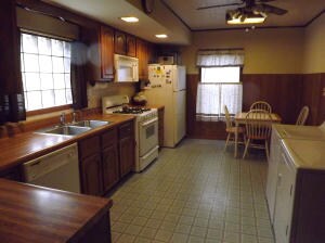 Kitchen View I