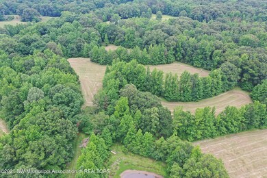 DJI_0345