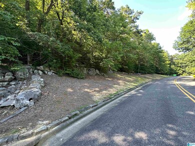 0 Bellerive Cir unit 21390746, Oneonta, AL 35121 - photo 5