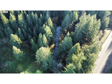 0 Hard Cash Ln, Camasvalley, OR 97416 - photo 3