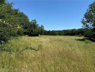 TBD CR 4460 Rd, Albion, OK 74521 - photo 2