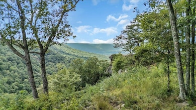 0 Raulston Falls Rd unit RTC2981268, Jasper, TN 37347 - photo 5