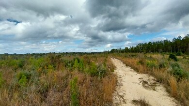 000 Private Road 6150, Woodville, TX 75979 - photo 3