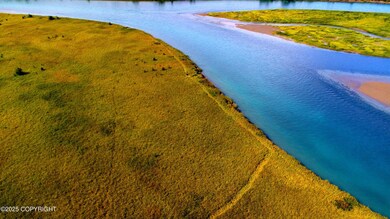 L33 Red Fox Ln, Kasilof, AK 99610 - photo 2