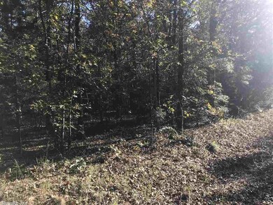 000 Bayview Heights, Heber Springs, AR 72543 - photo 3