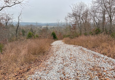 03 Norfork Village St, Tecumseh, MO 65760 - photo 7