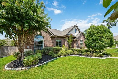 27048 Palo Pinto Trail, Magnolia, TX 77355 - photo 6