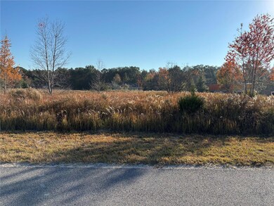0 0 Sw 32nd Place, Ocala, FL 34481 - photo 3