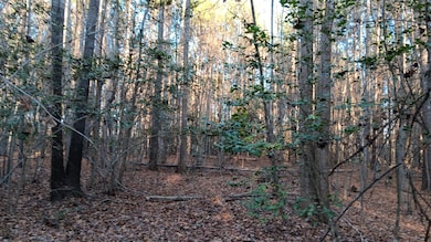 3815 River Mill Ln, Franklinton, NC 27525 - photo 3