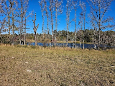0 County Road 3513, Brownsboro, TX 75756 - photo 2
