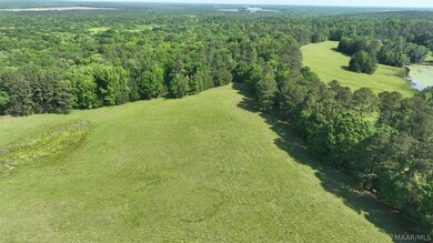 887 Highway 239, Midway, AL 36016 - photo 6