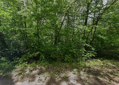 0 Tranquility Way, Smithville, TN 37166 - photo 6