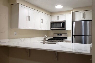 65 Brookline St unit 2, Cambridge, MA 02139 - photo 2