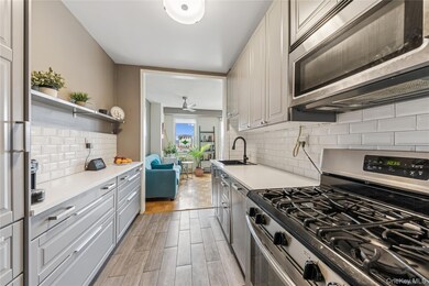 The Blue Building unit 5F, Bronx, NY 10463 - photo 6