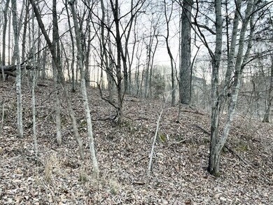 Lots 19 & 20 Tudor Ln, Bella Vista, AR 72715 - photo 2