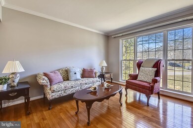 310 Buskin Ct, Severn, MD 21144 - photo 3