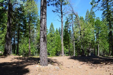 3112 Apache Rd, Arnold, CA 95223 - photo 3