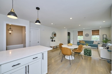 29 Goldsmith St unit 1, Jamaica Plain, MA 02130 - photo 6