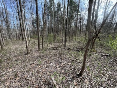 Wooded property
