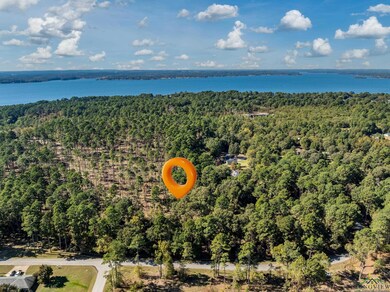 0 Pintail Lot 4, Flint, TX 75762 - photo 2