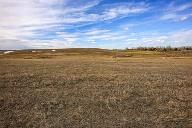 B. Subdivision View