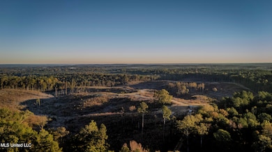 0 Mississippi 440, West, MS 39192 - photo 6