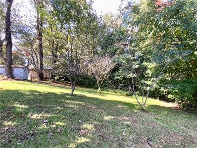 Wooded Back Yard