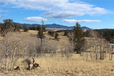 176 Musket Ln, Como, CO 80432 - photo 5
