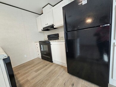 1026 Myakka Dr unit 2136, North Fort Myers, FL 33917 - photo 3