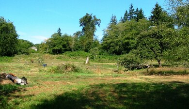 9317 Stein Rd, Custer, WA 98240 - photo 5