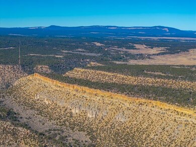 0 Nsn Forest Road 131 C unit 25747171, Tierra Amarilla, NM 87551 - photo 4