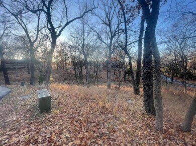 0 Ridge Rd unit 2517984, Afton, OK 74331 - photo 3