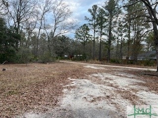 1379 Low Ground Rd, Guyton, GA 31312 - photo 3