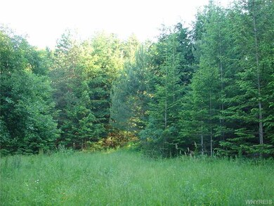Land.