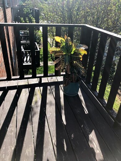 42 Gates St unit 5, Boston, MA 02127 - photo 6