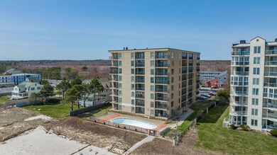 packmaynard_bschofield_205Egrandave1bold