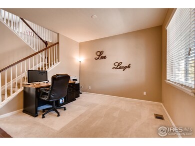 3554 E 140th Place, Thornton, CO 80602 - photo 5