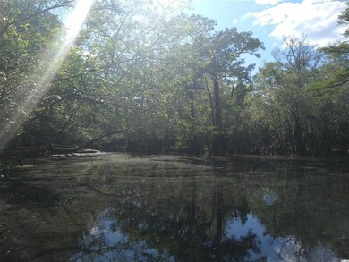 856 Tilly Lake Rd unit Lot 45, Conway, SC 29526 - photo 4