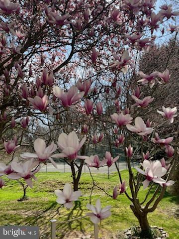 56 Dendron Ct, Parkville, MD 21234 - photo 2