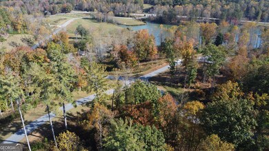 LOT 73 Leisure Mountain Trail, Sautee Nacoochee, GA 30571 - photo 5