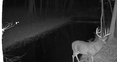 0 Koecke Ln, Wyalusing, WI 53801 - photo 3