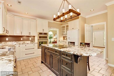 12321 Happy Hollow Rd, Cockeysville, MD 21030 - photo 7