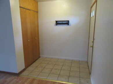 971 S York St, Elmhurst, IL 60126 - photo 5